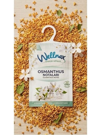 WELLNAX Breeze Refresh kvepenių (osmanthus) kvapo pakabinamas gaiviklis spintoms, 21g WELLNAX Breeze Refresh kvepenių (osmanthus) kvapo pakabinamas gaiviklis spintoms, 21g
