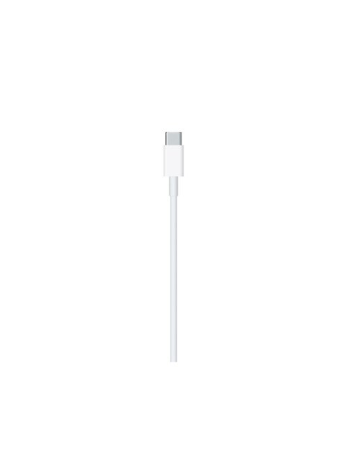 Apple lightning cable 2 m White