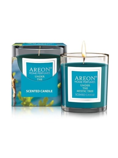 Aromatinė žvakė AREON Under the Mystic Tree 120g
