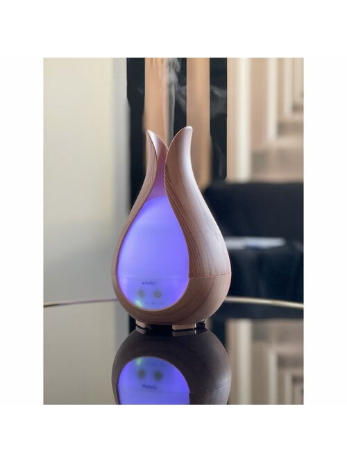 Aroma difuzorius - drėkintuvas 200ml Ruhhy 24610 13