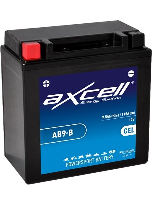 Axcell GEL 9.5 Ah -/+ 12V akumuliatorius 115A 135x75x139mm