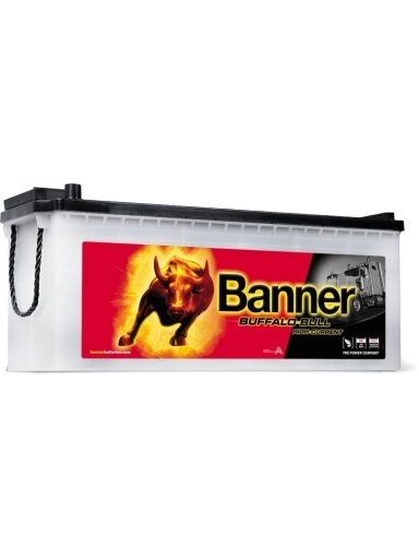 Banner 150Ah 1150A Buffalo Bull HIGH CURRENT akumuliatorius 514x189x195/220mm Banner 150Ah 1150A Buffalo Bull HIGH CURRENT akumuliatorius 514x189x195/220mm