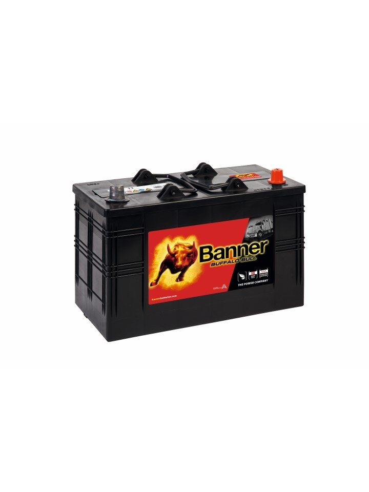 Banner 110Ah 800A Buffalo Bull akumuliatorius 12V 344x172x214x230 Banner 110Ah 800A Buffalo Bull akumuliatorius 12V 344x172x214x230