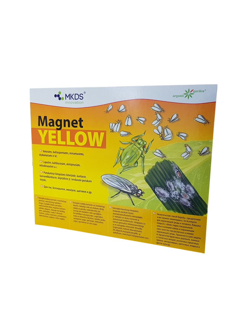 Baltasparnių, amarų, blakučių gaudyklė MAGNET yellow (20x25 cm)