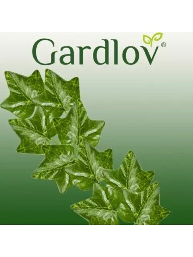 Dirbtinė gebenė - girlianda 25,2 m Gardlov 19735 m