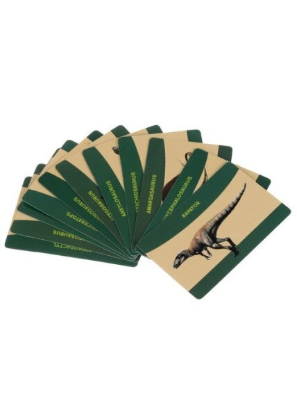 Dinozaurų kasykla – Kruzzelio kasinėjimai 24982 4 Dinozaurų kasykla – Kruzzelio kasinėjimai 24982 4
