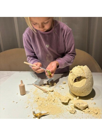 Dinozaurų kiaušinis – iškasimas 24981 14