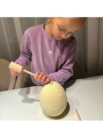 Dinozaurų kiaušinis – iškasimas 24981 9