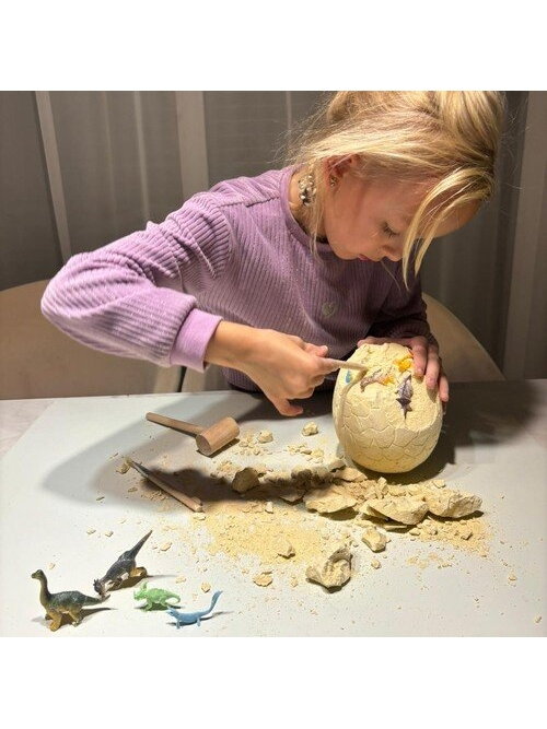 Dinozaurų kiaušinis – iškasimas 24981 11