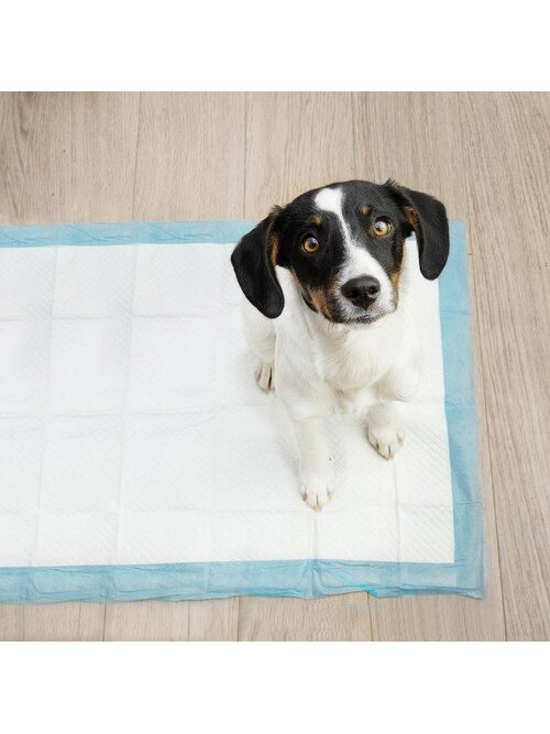 Higieninis įklotas 60x40cm 100 vnt. Purlovas 21599 12 Higieninis įklotas 60x40cm 100 vnt. Purlovas 21599 12
