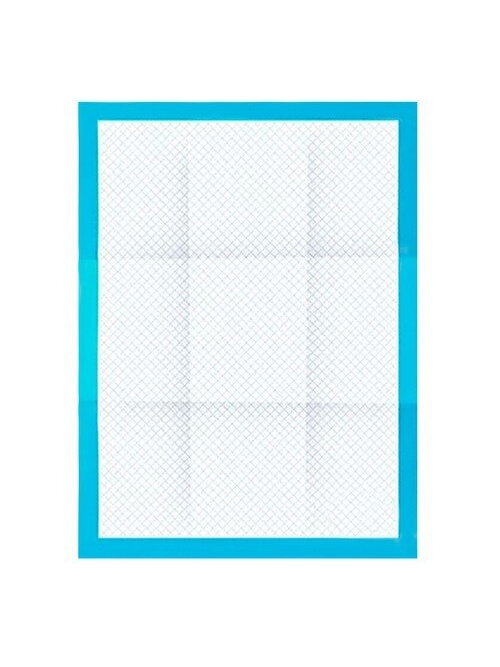 Higieninis įklotas 60x40cm 100 vnt. Purlovas 21599 9 Higieninis įklotas 60x40cm 100 vnt. Purlovas 21599 9