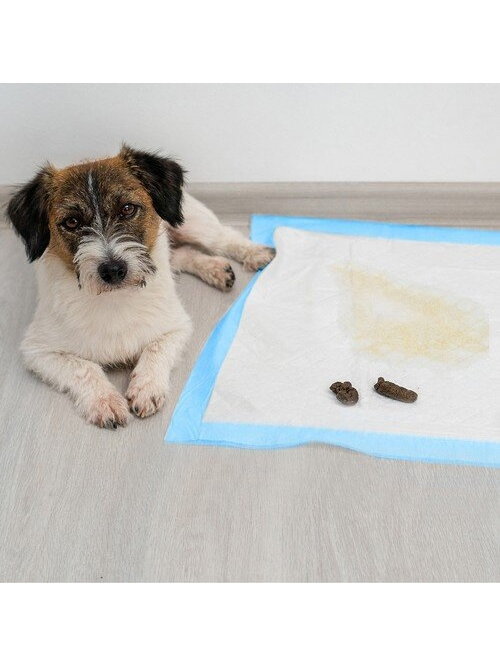 Higieninis įklotas 60x60cm 50 vnt. Purlovas 21600 11 Higieninis įklotas 60x60cm 50 vnt. Purlovas 21600 11