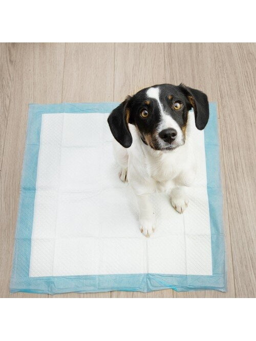Higieninis įklotas 60x60cm 50 vnt. Purlovas 21600 12 Higieninis įklotas 60x60cm 50 vnt. Purlovas 21600 12