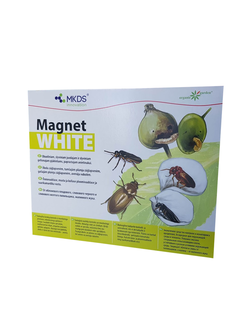 Obuolinių ir slyvinių pjūklelių, paprastųjų avietinukų gaudyklė MAGNET white (20x25 cm) Obuolinių ir slyvinių pjūklelių, paprastųjų avietinukų gaudyklė MAGNET white (20x25 cm)