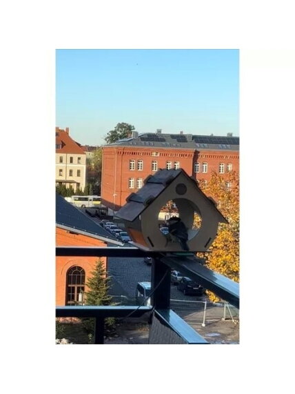 Paukščių lesykla Maaleo 22585 15