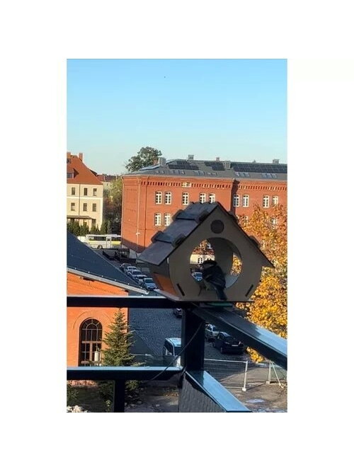 Paukščių lesykla Maaleo 22585 15 Paukščių lesykla Maaleo 22585 15