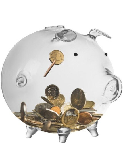 Piggy bank - stiklinė kiaulė Ruhhy 22588