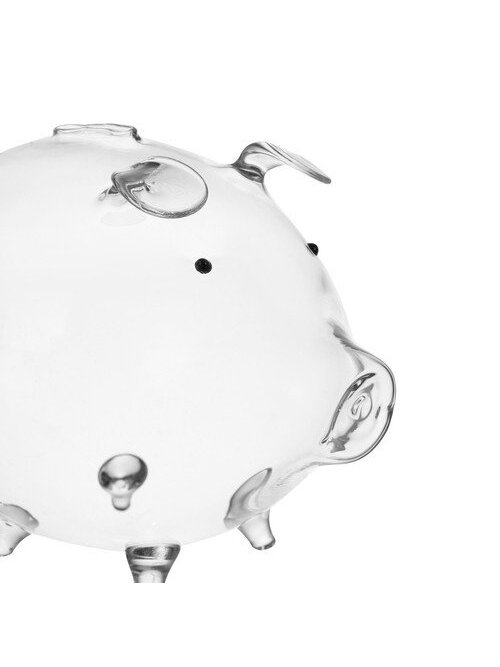 Piggy bank - stiklinė kiaulė Ruhhy 22588 5
