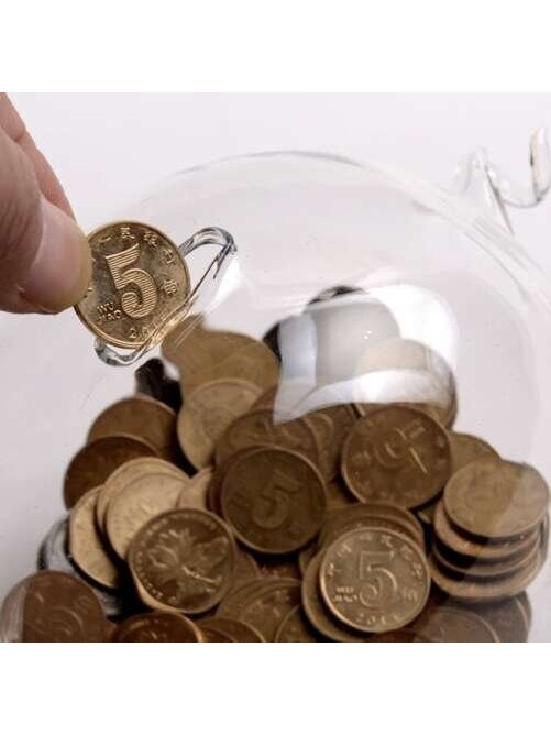 Piggy bank - stiklinė kiaulė Ruhhy 22588 8