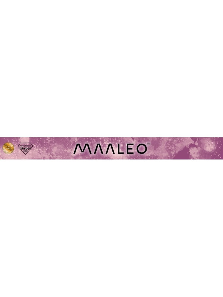 „Maaleo“ planavimo kalendorius su magnetu 4