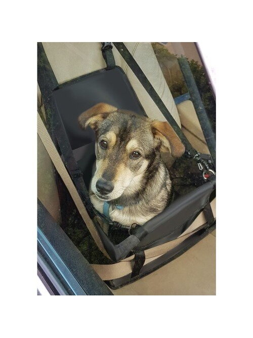 Purlov 20973 sėdimas šunų vežimėlis 12