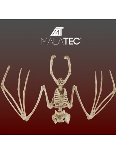 Šikšnosparnio skeletas - dekoracija 30cm Malatec 22005