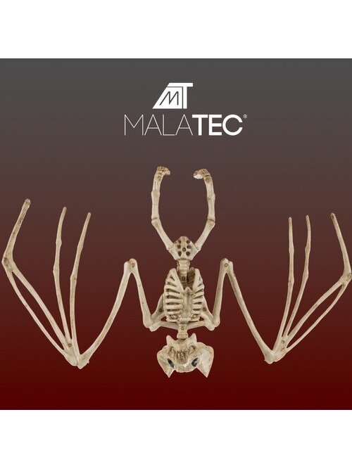 Šikšnosparnio skeletas - dekoracija 30cm Malatec 22005 1 Šikšnosparnio skeletas - dekoracija 30cm Malatec 22005 1