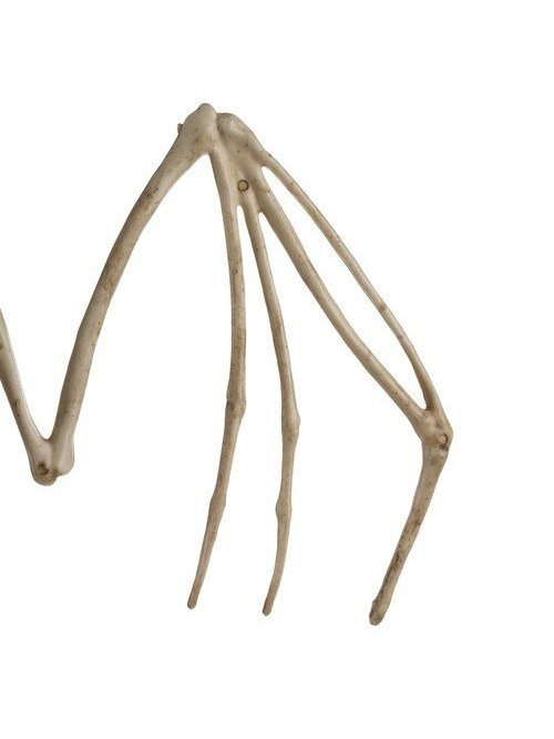 Šikšnosparnio skeletas - dekoracija 30cm Malatec 22005 3 Šikšnosparnio skeletas - dekoracija 30cm Malatec 22005 3