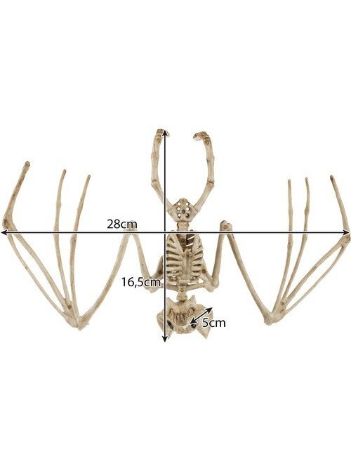 Šikšnosparnio skeletas - dekoracija 30cm Malatec 22005 2 Šikšnosparnio skeletas - dekoracija 30cm Malatec 22005 2