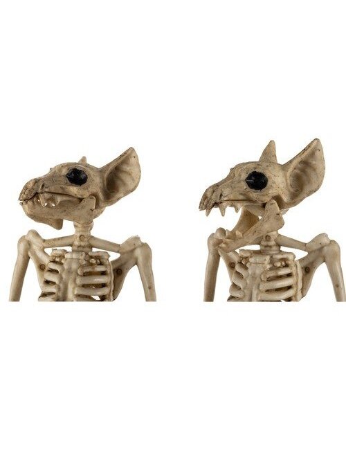 Šikšnosparnio skeletas - dekoracija 30cm Malatec 22005 6 Šikšnosparnio skeletas - dekoracija 30cm Malatec 22005 6