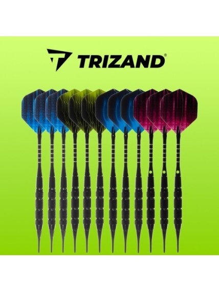 Smiginio rinkinys iš 12 dalių + priedai Trizand 21629 1