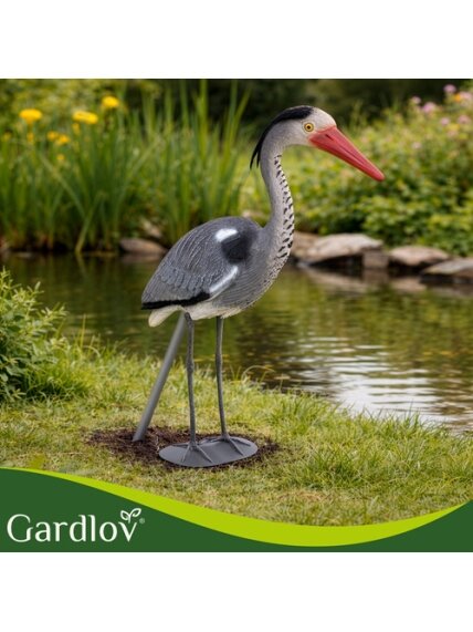 Sodo puošmena - Gardlovo garnys 13