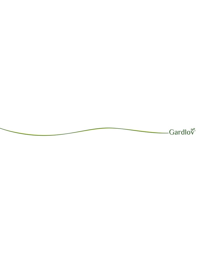 Sodo puošmena - Gardlovo garnys 5