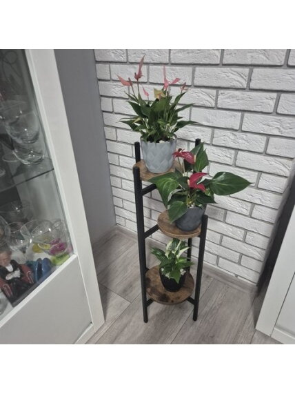 Stovi gėlių stovas 80cm Ruhhy 25627 7 Stovi gėlių stovas 80cm Ruhhy 25627 7