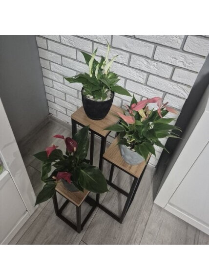 Stovintis gėlių stovas 67cm Ruhhy 25626 7 Stovintis gėlių stovas 67cm Ruhhy 25626 7