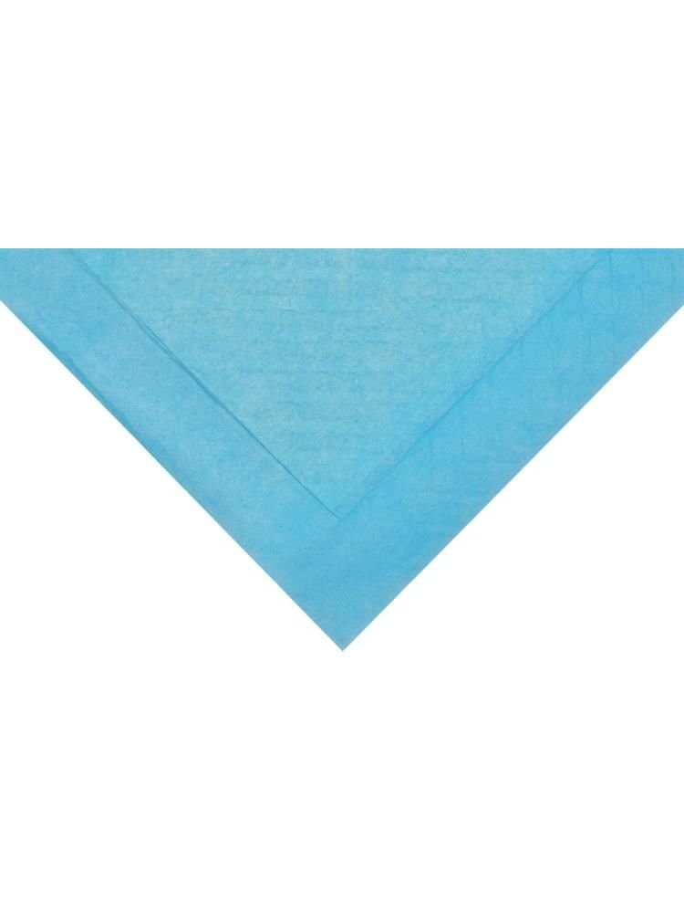 Sugeriantis higieninis įklotas - rinkinyje 50 vnt. 60x45cm. 6