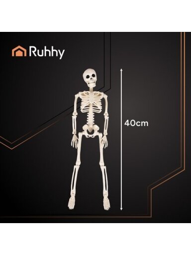 Skeletas - dekoracija 40cm Ruhhy 26027 Skeletas - dekoracija 40cm Ruhhy 26027