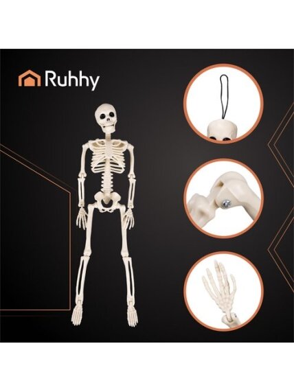 Skeletas - dekoracija 40cm Ruhhy 26027 4 Skeletas - dekoracija 40cm Ruhhy 26027 4