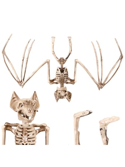 Šikšnosparnio skeletas – dekoracija, 30 cm, „Glimz“ 16