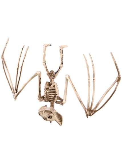 Šikšnosparnio skeletas – dekoracija, 30 cm, „Glimz“ 17