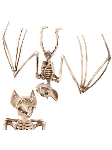 Šikšnosparnio skeletas – dekoracija, 30 cm, „Glimz“ 18 Šikšnosparnio skeletas – dekoracija, 30 cm, „Glimz“ 18