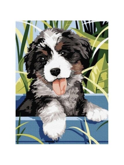 Tapyba pagal skaičius 40x30cm - Maaleo dog 22780 4