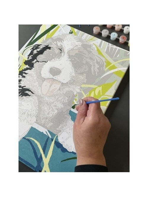 Tapyba pagal skaičius 40x30cm - Maaleo dog 22780 10