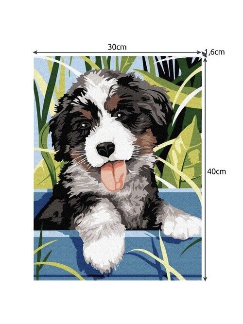 Tapyba pagal skaičius 40x30cm - Maaleo dog 22780 3