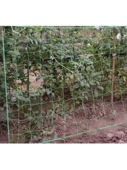 Tinklas - augalų atrama 2x10m Gardlov 23978 7 Tinklas - augalų atrama 2x10m Gardlov 23978 7