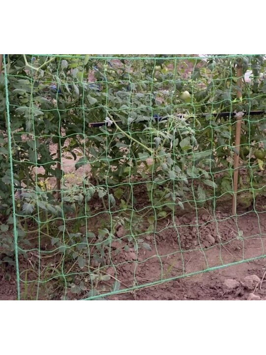 Tinklas - augalų atrama 2x10m Gardlov 23978 7