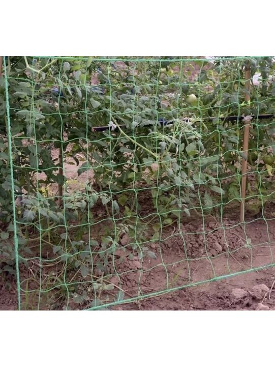 Tinklas - augalų atrama 2x20m Gardlov 23980 6