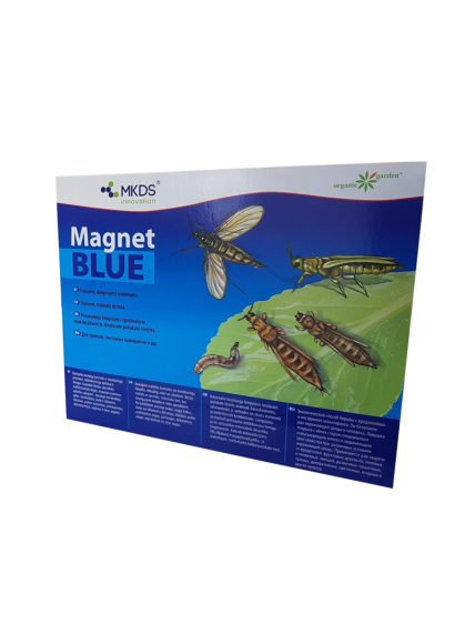 Tripsų, daiginių uodelių gaudyklė MAGNET blue (20x25 cm) Tripsų, daiginių uodelių gaudyklė MAGNET blue (20x25 cm)