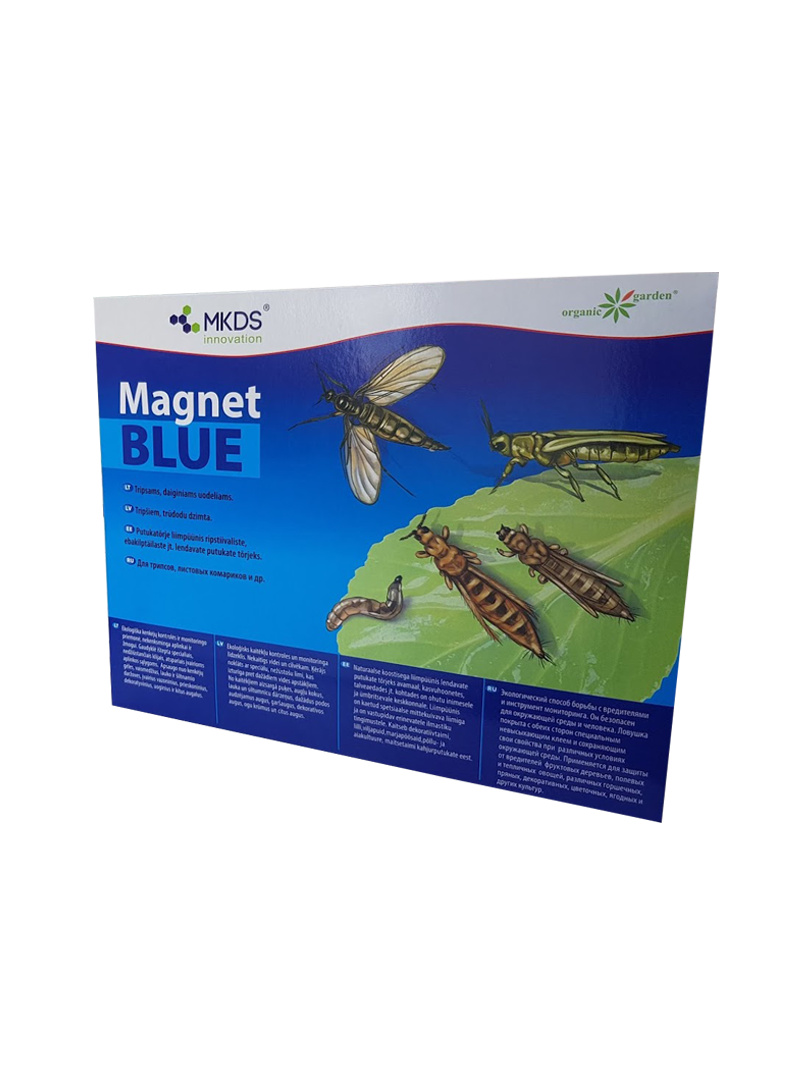 Tripsų, daiginių uodelių gaudyklė MAGNET blue (20x25 cm) Tripsų, daiginių uodelių gaudyklė MAGNET blue (20x25 cm)