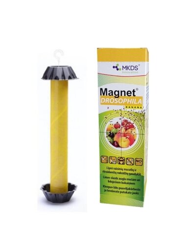 Vaisinių muselių gaudyklė MAGNET Drosophila, 1 vnt